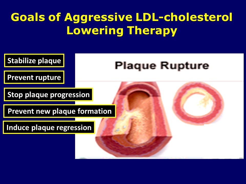 Aggressive LDL-c Lowering Therapy
