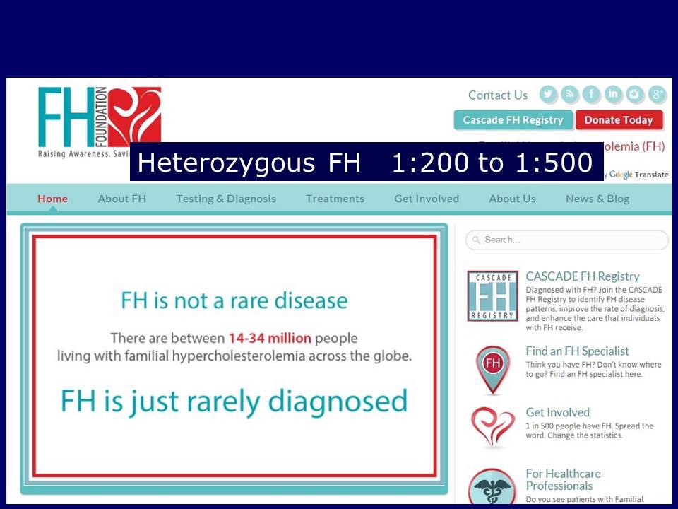 FH Global Summit 2014c