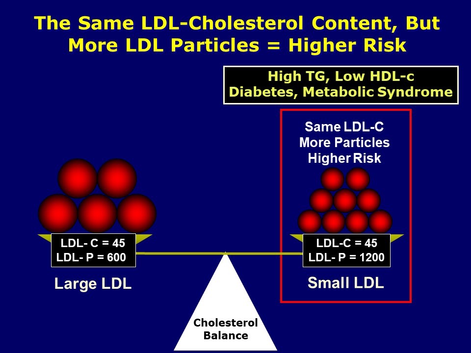 Larger LDLp