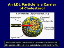 LDL Particle